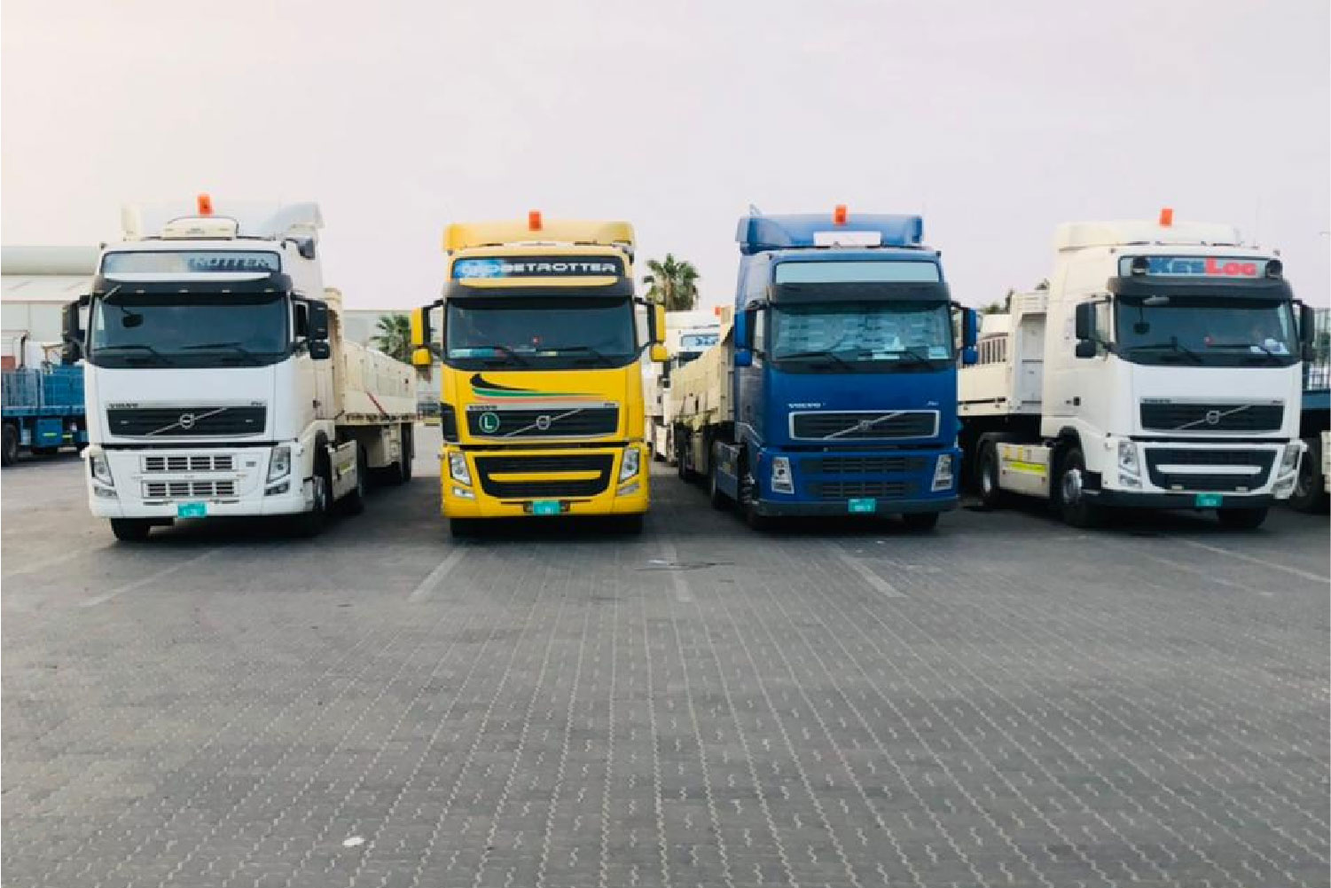 WhatsApp Image 2025-11-21 at 10.35.51 PM-04